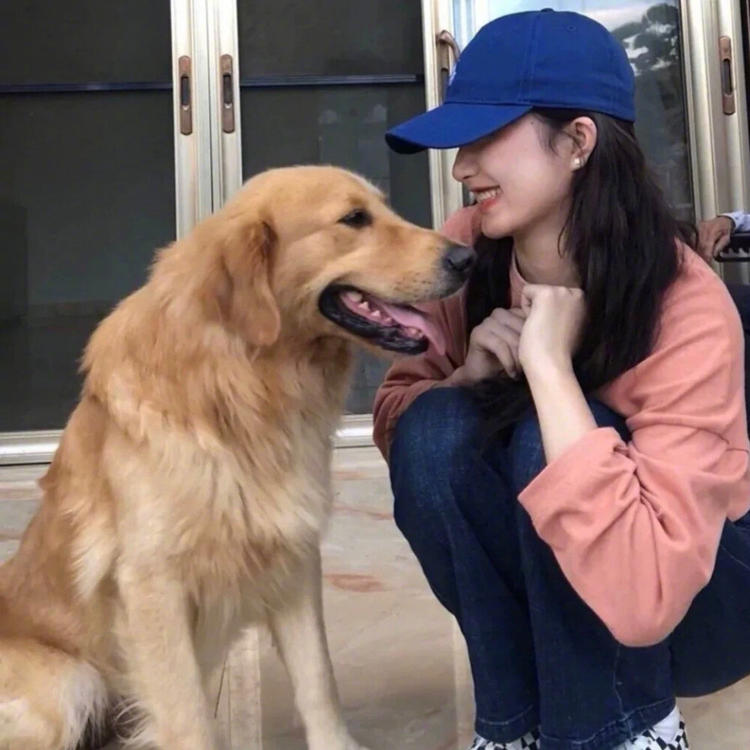 志志雄真实（身份：维新派刽子手、剑心老冤家） - 4K超清影视在线观看 - APP看视频